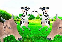 Image result for Funny Cow Noises