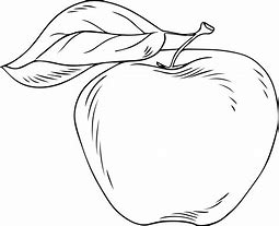 Image result for Apple Vector Drawing