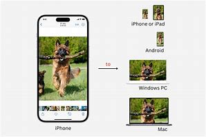 Image result for Download Photos From iPhone