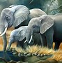 Image result for Large and Small Animals Families