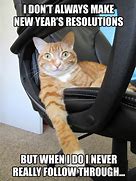 Image result for New Year Resolutions Funny Cats