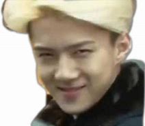 Image result for Oh Sehun Memes