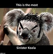 Image result for Scary Koala Meme
