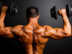 Image result for Weight Lifting Bodybuilding