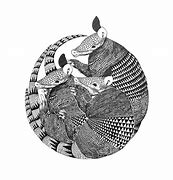 Image result for Armadillo Silhouette Flash Art
