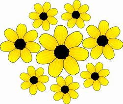 Image result for Floral Clip Art Designs