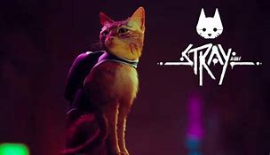 Image result for Images of Cat From the Game Stary
