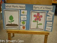 Image result for Spring Anchor Chart