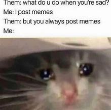 Image result for Hiding Sadness Meme
