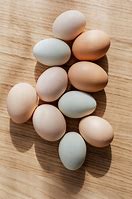 Image result for Oeuf Pourri