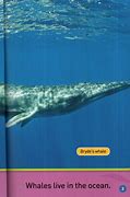 Image result for National Geographic Kids Whales