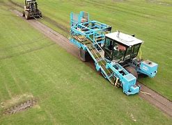 Image result for Turf Grass Farms Near Me