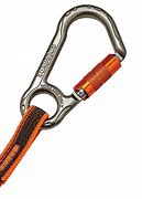 Image result for Tool Lanyard Carabiner