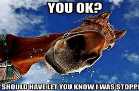 Image result for Running Horse Meme