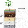 Image result for Earth Dirt Animated