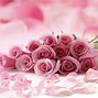 Image result for Cute Girly Wallpapers PC Apill