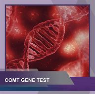 Image result for DNA and Gene Testing Kits