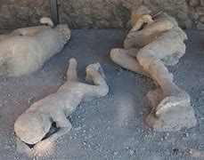 Image result for Pompeii Molds