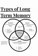 Image result for Human Memory Types