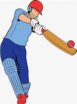 Image result for Cricket Fun Car Stickers