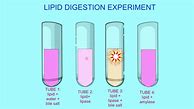 Image result for li chloride laboratory experiments