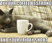 Image result for Friday Weekend Cat Meme