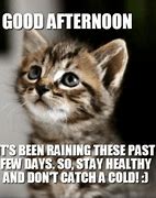 Image result for Afternoon Funny Memes