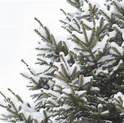 Image result for Serbia Snow