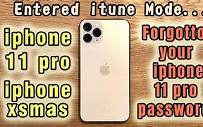 Image result for Forgot iPhone 11 Pro Max Password