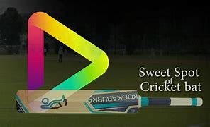 Image result for Hot Spot Cricket