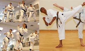 Image result for Most Practiced Martial Art