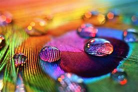 Image result for Color Photography Examples