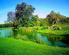 Image result for 50 Beautiful Nature Wallpaper HD