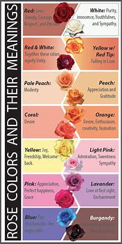 Image result for Flower Meanings Chart