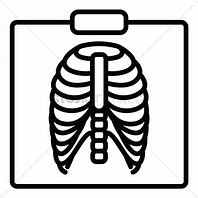 Image result for X-ray Vector