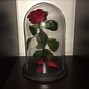 Image result for Beauty and the Beast Glass Rose