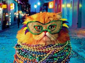 Image result for Mardi Gras Cat