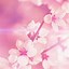 Image result for Pink Wallpaper iPhone1,1