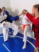 Image result for Karate Girl Kick Man