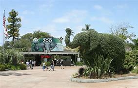 Image result for about zoo wiki
