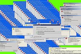 Image result for Screen Shot of a Computer Bug
