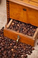 Image result for Bohio Coffee Beans