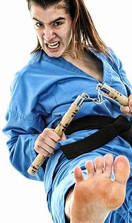 Image result for Martial Arts Woman Front Kick