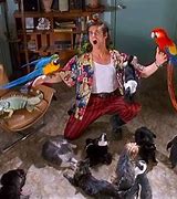 Image result for Ace Ventura Animals