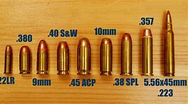 Image result for 270 vs 4 Bore Bullet