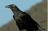 Image result for Matv Crow System
