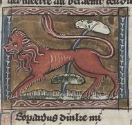 Image result for Medieval Bestiary