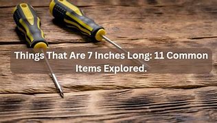 Image result for Things That Are 7 Inches