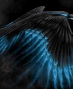 Image result for Raven Bird Background