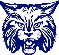 Image result for Word Wildcat SVG